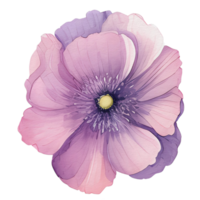 acquerello anemone fiore, bellissimo floreale, ai generativo png