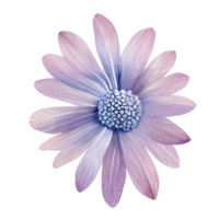 schön Aquarell Hortensie Blume, ai generativ png