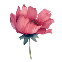 Aquarell Anemone Blume, schön Blumen, ai generativ png