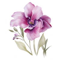 bellissimo acquerello tailandese rosa viola orchidea fiore, ai generativo png