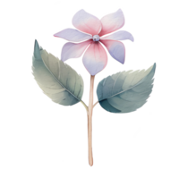 lindo aguarela hortênsia flor, ai generativo png