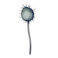 Aquarell Anemone Blume, schön Blumen, ai generativ png