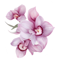 magnifique aquarelle thaïlandais rose violet orchidée fleur, ai génératif png