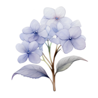 skön vattenfärg hortensia blomma, ai generativ png