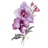 magnifique aquarelle thaïlandais rose violet orchidée fleur, ai génératif png