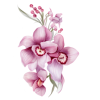 magnifique aquarelle thaïlandais rose violet orchidée fleur, ai génératif png