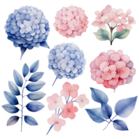 magnifique aquarelle hortensia feuilles fleur, ai génératif png