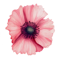 Aquarell Anemone Blume, schön Blumen, ai generativ png