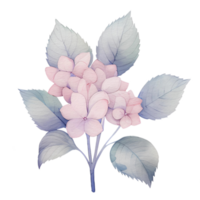 magnifique aquarelle hortensia feuilles fleur, ai génératif png