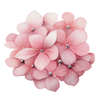 beautiful watercolor hydrangea flower, AI Generative png