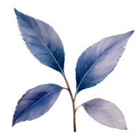 beautiful watercolor hydrangea leaves flower, AI Generative png