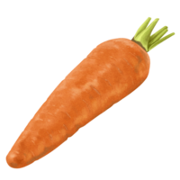 Watercolor Vegetables Painting Carrots png