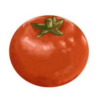 Watercolor Vegetables Painting Tomato