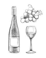 Wine Hand Drawn Set vector