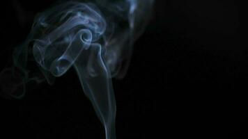 Abstract smoke rises up in beautiful swirls on black background. video