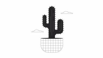 Cactus flower in clouds bw animation. Animated plant in pot 2D cartoon flat monochrome line object. Desert flower 4K video concept footage on white with alpha channel transparency for web design