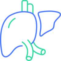 icona della linea del fegato png