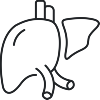 icône de la ligne du foie png
