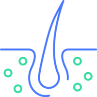 Hair follicle line icon png