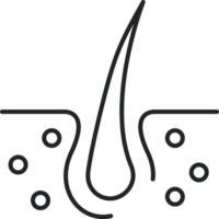 Hair follicle line icon png