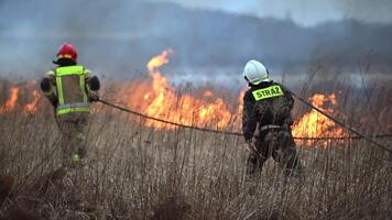 Feuerwehrmänner Kampf mit Lauffeuer im das Wiese video