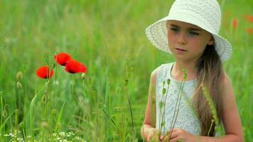 caucasiano menina com flores silvestres durante verão dia video