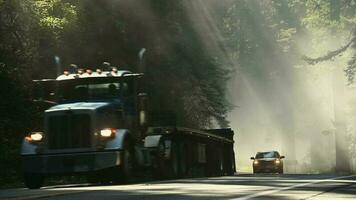 escénico brumoso Mañana luz de sol rayos en el California secoya carretera. del Norte California paisajes unido estados de America. video