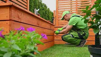 man byggnad trä- planter för bakgård trädgård video