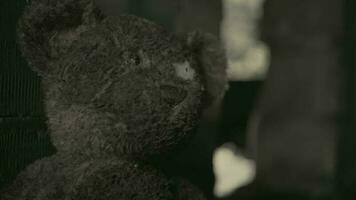 Domestic Violence Theme with Dirty Teddy Bear video