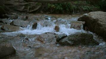 Colorado Berg Fluss in der Nähe von Colorado Federn, co, USA video