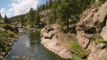 Colorado Scenic Eleven Miles Canyon and South Platte River Fishing video