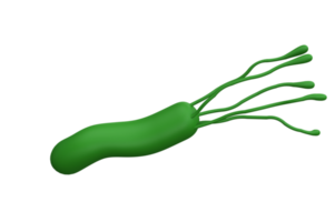 helicóptero pylori bactérias 3d render realista remédio ícone para logotipo isolado transparente png. microbiologia saúde humano ilustração png
