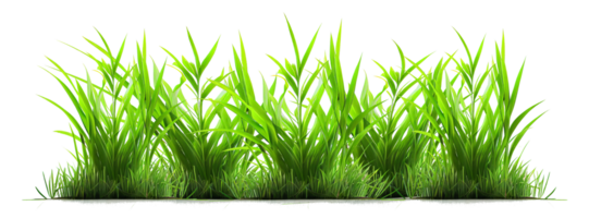 Grün Gras auf ein transparent Hintergrund zum dekorieren Projekte. generativ ai png