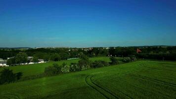 aéreo Visão do verde campo e árvores video