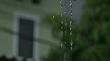 Slow motion rainwater drips from the roof tiles. video