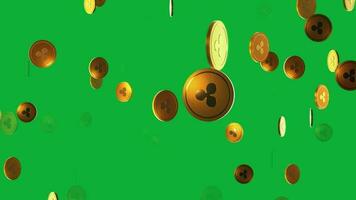 rimpeling munt lus animatie in groen scherm achtergrond, demystificeren de toekomst van digitaal betalingen video