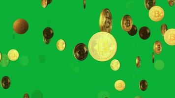 animato guida per bitcoin ciclo continuo animazione nel verde schermo sfondo, esplorando il futuro di digitale i soldi video