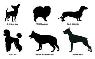 Set of black dog breeds silhouettes on a white background vector