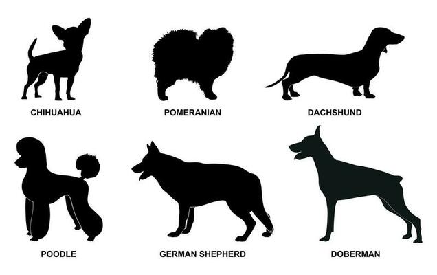Set of black dog breeds silhouettes on a white background
