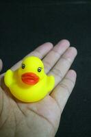 Cute little yellow toy duck with red lips photo