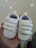 Photo of a cute little white baby shoe with triple adhesive