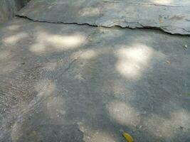 Photo of a floor made of cement with a shade of a shady tree during the day