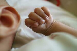 one hand of a newborn in a grasping position with the thumb inside photo