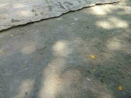 Photo of a floor made of cement with a shade of a shady tree during the day