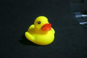 Cute little yellow toy duck with red lips photo