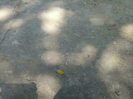 Photo of a floor made of cement with a shade of a shady tree during the day