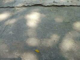 Photo of a floor made of cement with a shade of a shady tree during the day