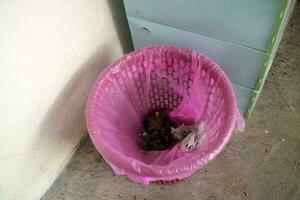 Red trash can covered with pink plastic photo