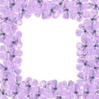 Purple abstract cherry blossom frame boarder. Hand drawn watercolor isolated on white background. Can be used for cards, patterns, label. photo