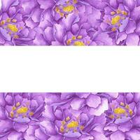 Hand drawn watercolor purple peony frame boarder isolated on white background. Can be used for invitation, postcard, poster, book decoration and other printed products. photo
